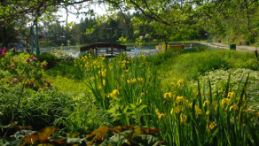 Jardin de la SHEL et Laurent Brisson