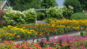 Jardin d’essai
