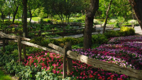 Jardin des sous-bois