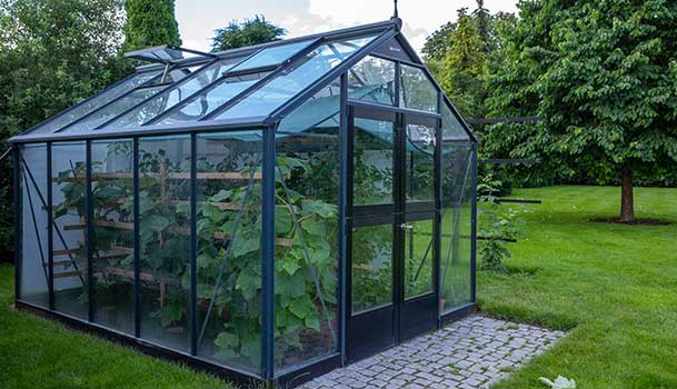 Serre de grandeur résidentiel avec revêtement transparent