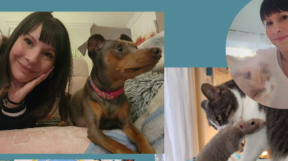 Portraits d'une personne avec un chien et un chat