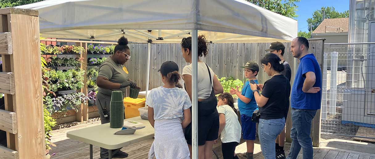 Atelier horticole : initiation au rempotage de fines herbes et de ...