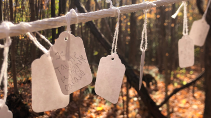 Des étiquettes accrochées à un arbre
