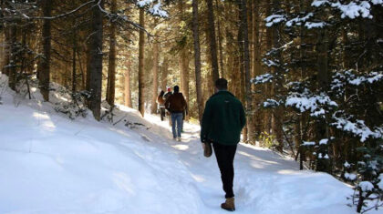Des personnes qui pratiquent le Shinrin Yoku est une pratique ancestrale japonaise qui invite à vivre une immersion en forêt où la lenteur et la contemplation sont à l'honneur.