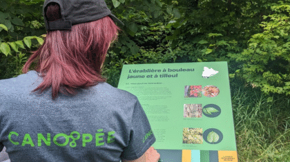 Une personne devant un panneau d'interprétation au Centre de la nature de Laval