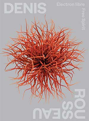 Pochette du livre de Denis Rousseau