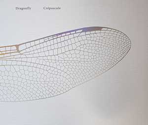 Pochette du livre de Jennifer Mackem