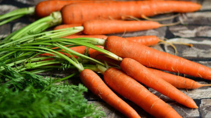 Carottes