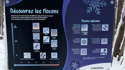 Une photo d'un panneau d'une exposition sur les flocons