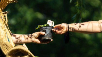 1 personne d'une une plante à une autre personne