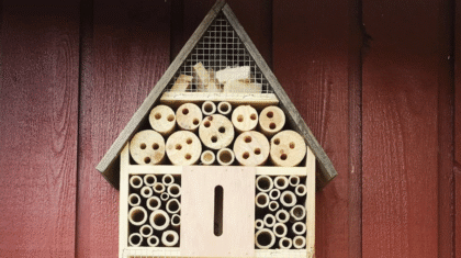 hôtel à insectes fait en bois