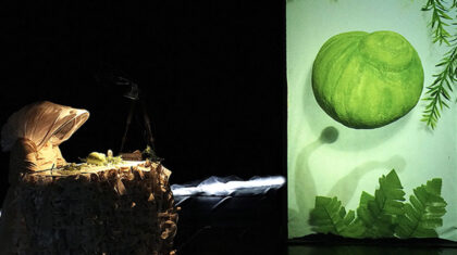 Scène du théâtre d’images Jour bleu montrant une figure manipulant de petits objets devant une projection verte évoquant des formes végétales.