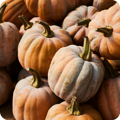 Citrouilles
